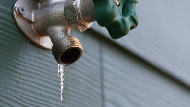 Best Shower Repair Services  in Heber, CA